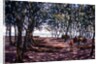 Boat Yard, Kafountine, 1998 by Tilly Willis