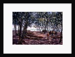 Boat Yard, Kafountine, 1998 by Tilly Willis