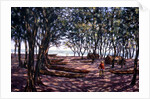 Boat Yard, Kafountine, 1998 by Tilly Willis