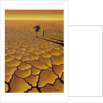 Saharan Journey, 1995 by Tilly Willis