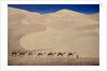 Camel Train 1993 by Tilly Willis