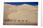 Camel Train 1993 by Tilly Willis