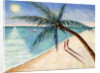 Rustling Palm, 2004 by Tilly Willis