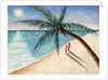 Rustling Palm, 2004 by Tilly Willis