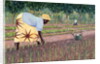 Planting Onions, 2005 by Tilly Willis