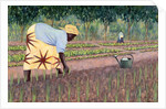 Planting Onions, 2005 by Tilly Willis