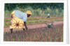 Planting Onions, 2005 by Tilly Willis