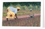 Planting Onions, 2005 by Tilly Willis