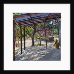 Morning Shadows, 2004 by Tilly Willis