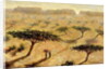 Sahelian Landscape, 2002 by Tilly Willis