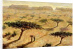 Sahelian Landscape, 2002 by Tilly Willis