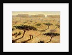 Sahelian Landscape, 2002 by Tilly Willis