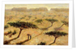 Sahelian Landscape, 2002 by Tilly Willis