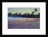 Gold Coast, 1993 by Tilly Willis