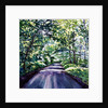 Woodland Road 2017 by Tilly Willis