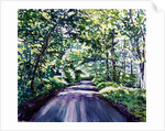 Woodland Road 2017 by Tilly Willis