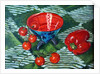 Tomatoes and Pepper by Tilly Willis