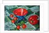 Tomatoes and Pepper by Tilly Willis