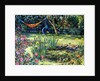 Summer Garden by Tilly Willis