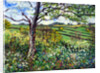 Across the Fields by Tilly Willis