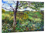 Across the Fields by Tilly Willis