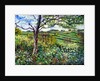 Across the Fields by Tilly Willis