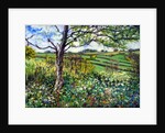 Across the Fields by Tilly Willis