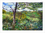 Across the Fields by Tilly Willis
