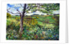 Across the Fields by Tilly Willis