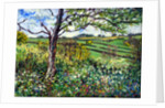 Across the Fields by Tilly Willis