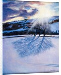 Snow Shadows, 2009 by Tilly Willis