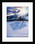 Snow Shadows, 2009 by Tilly Willis