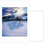 Snow Shadows, 2009 by Tilly Willis