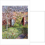 Under the Magnolia by Tilly Willis