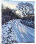 Winter Light by Tilly Willis