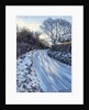 Winter Light by Tilly Willis