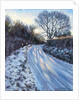 Winter Light by Tilly Willis