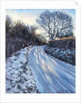 Winter Light by Tilly Willis