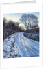 Winter Light by Tilly Willis