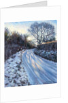 Winter Light by Tilly Willis