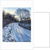 Winter Light by Tilly Willis
