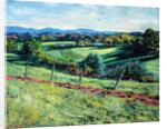 Blackdown View by Tilly Willis