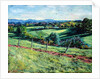 Blackdown View by Tilly Willis