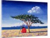 Under the Acacia Tree, 1991 by Tilly Willis