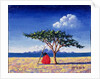 Under the Acacia Tree, 1991 by Tilly Willis