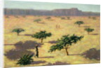 Sahelian Landscape, Mali, 1991 by Tilly Willis
