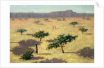 Sahelian Landscape, Mali, 1991 by Tilly Willis