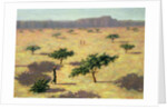 Sahelian Landscape, Mali, 1991 by Tilly Willis