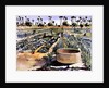 The Women's Garden, Senegal, West Africa, 1997 by Tilly Willis