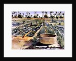 The Women's Garden, Senegal, West Africa, 1997 by Tilly Willis